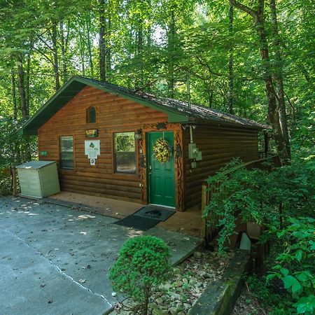 Vila Beary Cozy Pigeon Forge Exteriér fotografie